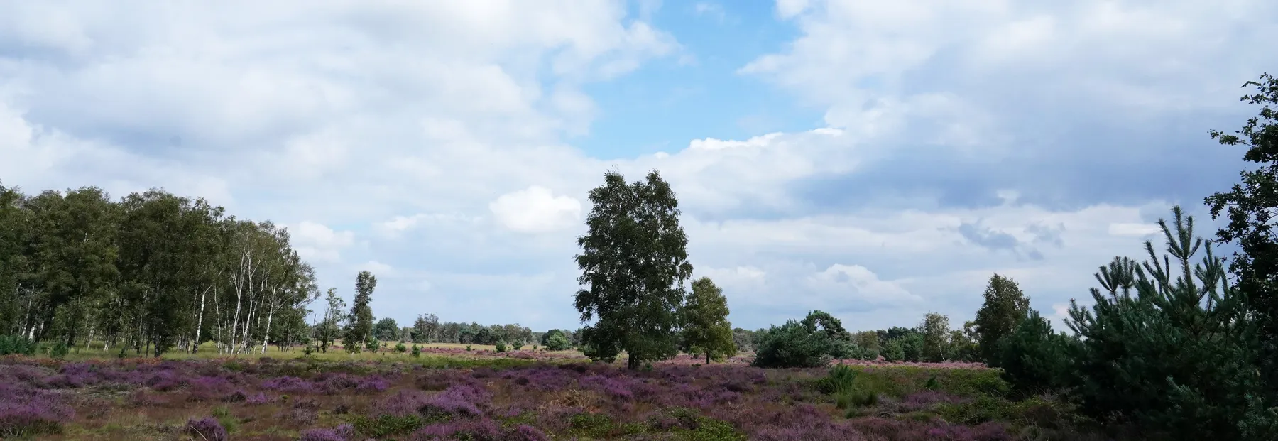 Someren Strabrechtse Hei 1